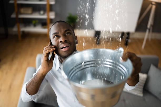 Best Professional water damage repair  in Anchor Point, AK