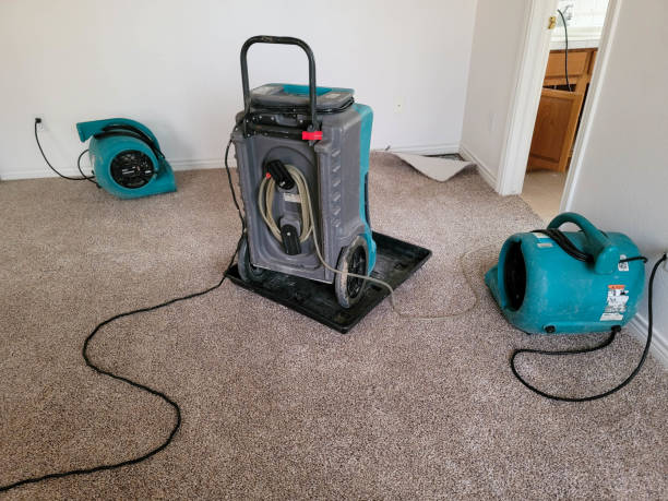 Best Flooded house restoration  in Anchor Point, AK