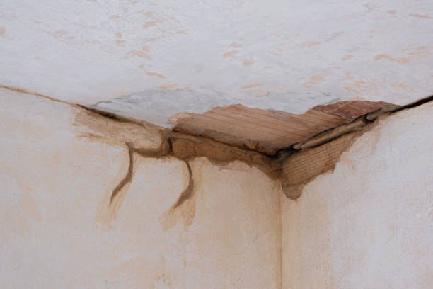 Sewage cleanup and water damage restoration in Anchor Point, AK