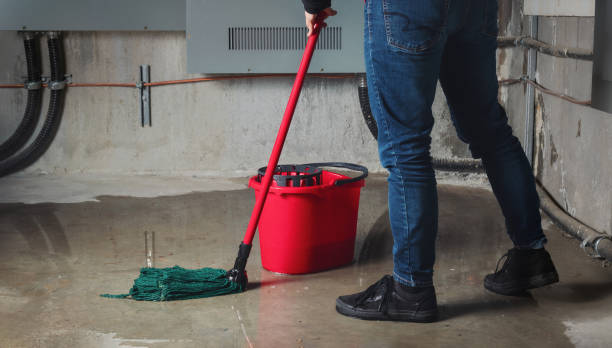 Best Local water damage restoration  in Anchor Point, AK