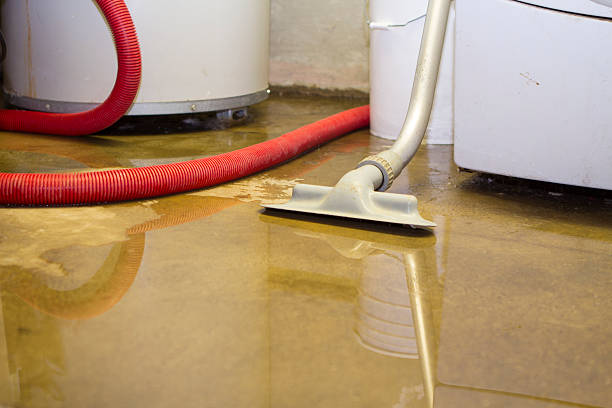Best 24/7 water damage repair  in Anchor Point, AK