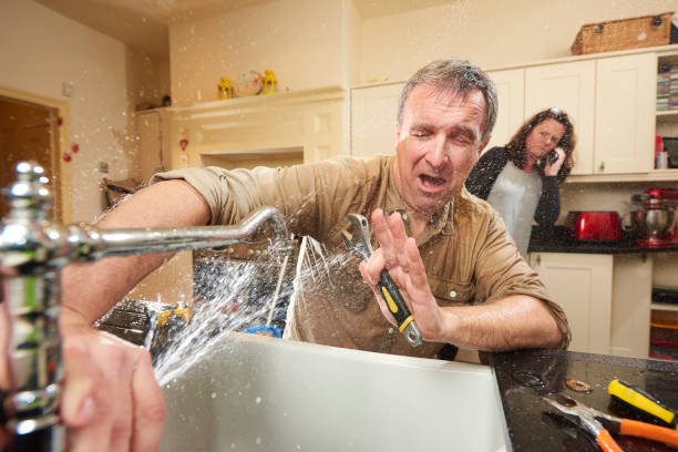 Best Water damage restoration near me  in Anchor Point, AK